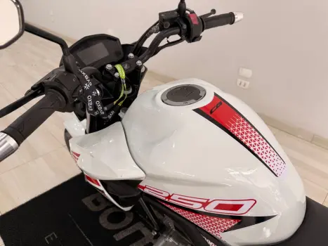 HONDA CB 250 F Twister FLEXONE, Foto 3