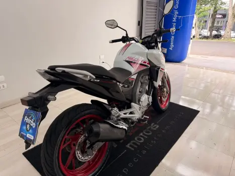 HONDA CB 250 F Twister FLEXONE, Foto 6