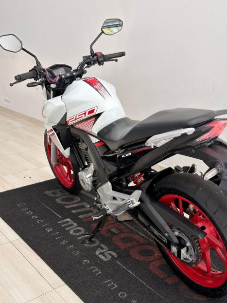 HONDA CB 250 F Twister FLEXONE, Foto 2