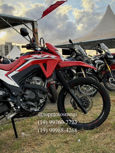 HONDA XRE 300 ABS, Foto 4
