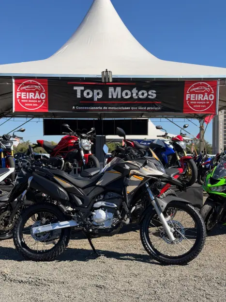 HONDA XRE 300 ADVENTURE, Foto 1