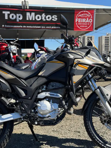 HONDA XRE 300 ADVENTURE, Foto 3