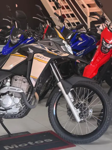 HONDA XRE 300 ADVENTURE, Foto 3
