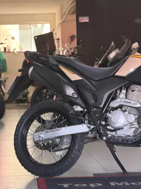 HONDA XRE 300 ADVENTURE, Foto 4