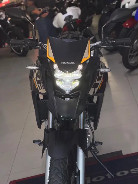 HONDA XRE 300 ADVENTURE, Foto 5