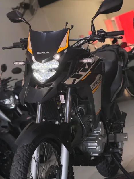 HONDA XRE 300 ADVENTURE, Foto 6
