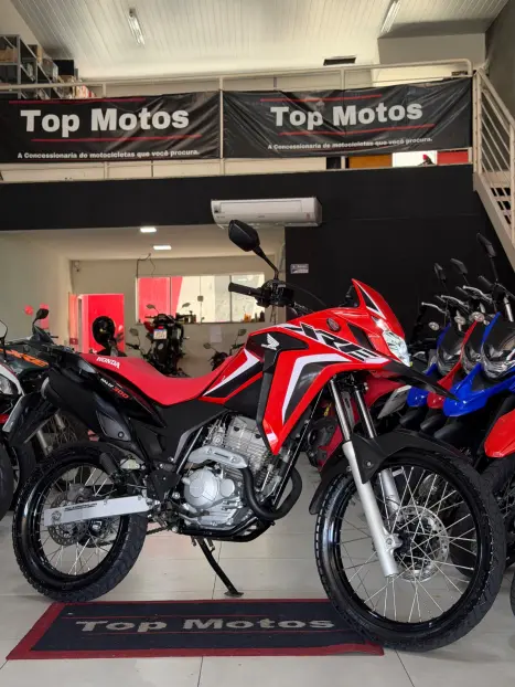 HONDA XRE 300 ADVENTURE, Foto 1