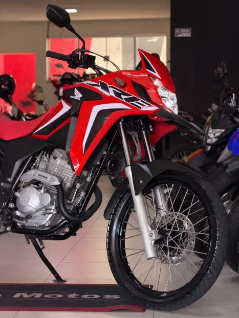 HONDA XRE 300 ADVENTURE, Foto 2