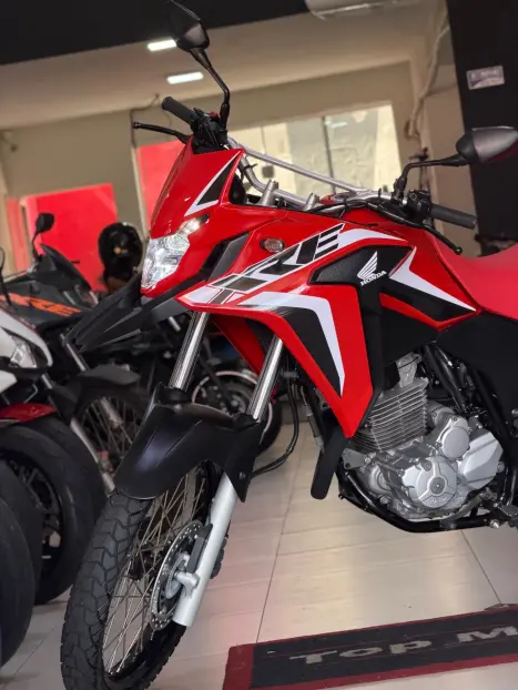 HONDA XRE 300 ADVENTURE, Foto 8