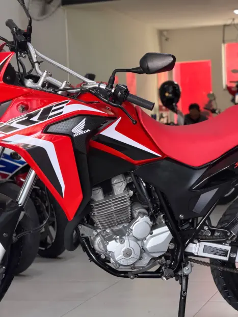 HONDA XRE 300 ADVENTURE, Foto 9