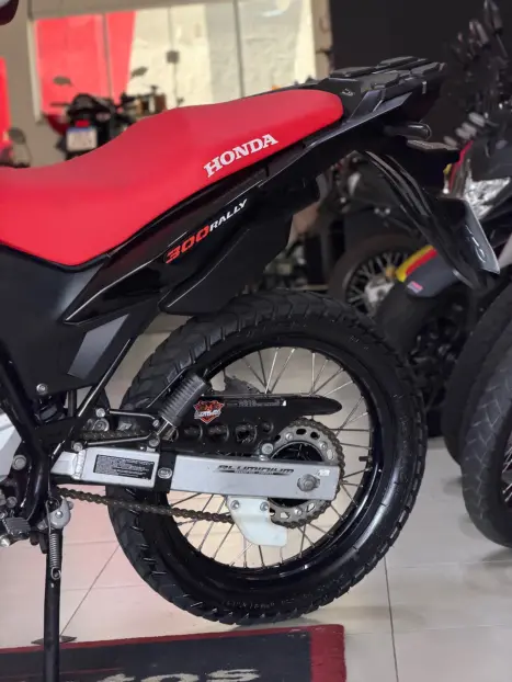HONDA XRE 300 ADVENTURE, Foto 10