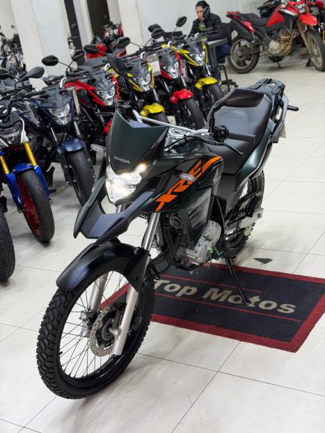 HONDA XRE 300 ADVENTURE, Foto 5