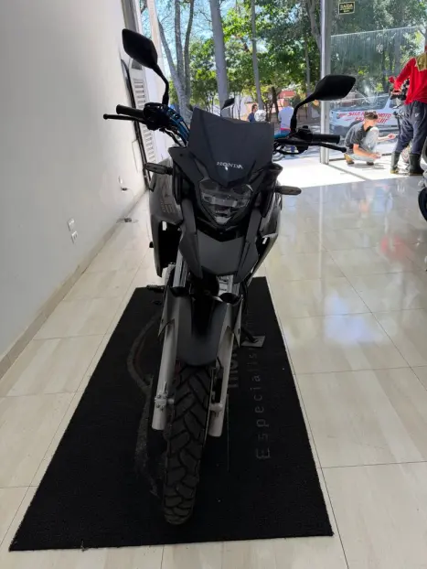 HONDA XRE 300 ADVENTURE, Foto 4