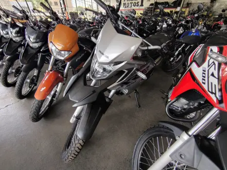 HONDA XRE 300 FLEX, Foto 1