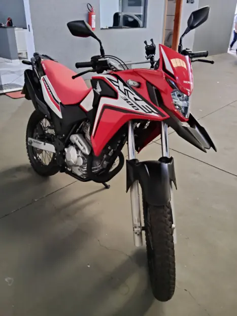 HONDA XRE 300 FLEX, Foto 2