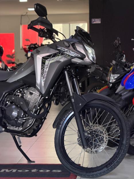 HONDA XRE 300 FLEX, Foto 2