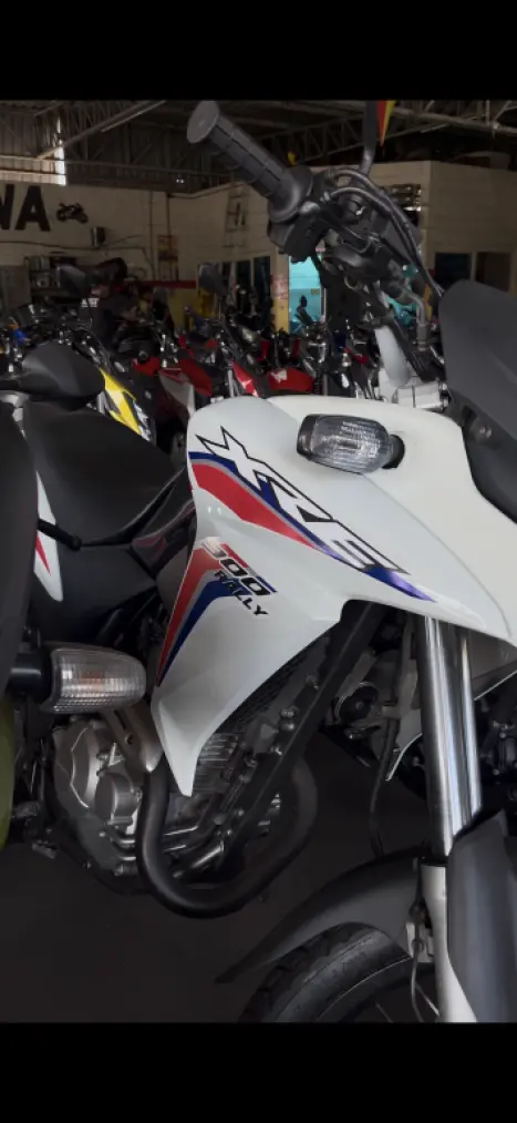 HONDA XRE 300 RALLY ABS, Foto 1
