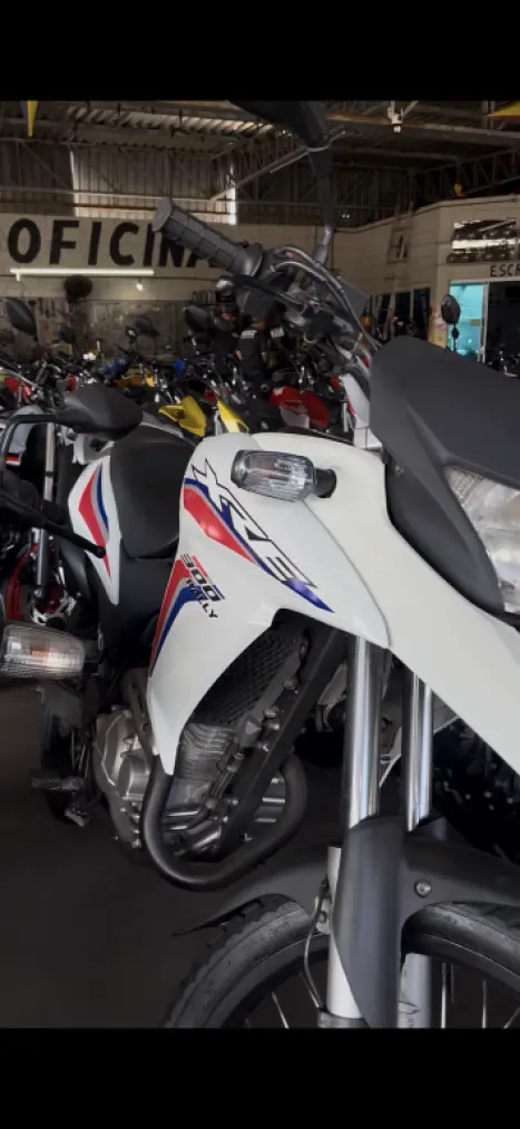 HONDA XRE 300 RALLY ABS, Foto 2