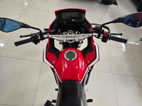 HONDA XRE 300 RALLY ABS, Foto 4