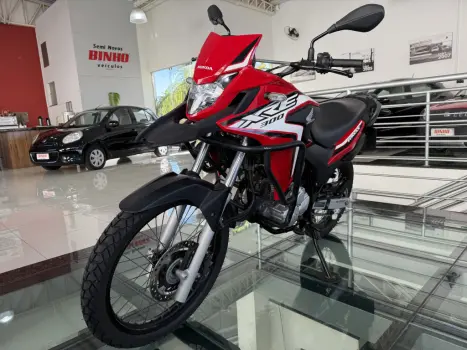 HONDA XRE 300 RALLY ABS, Foto 2