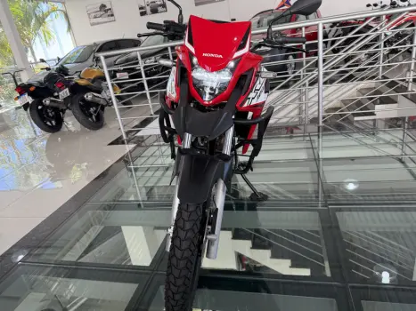 HONDA XRE 300 RALLY ABS, Foto 3