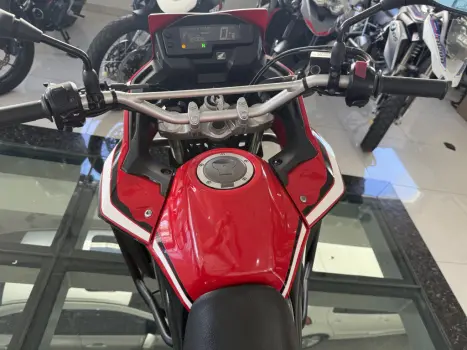 HONDA XRE 300 RALLY ABS, Foto 4