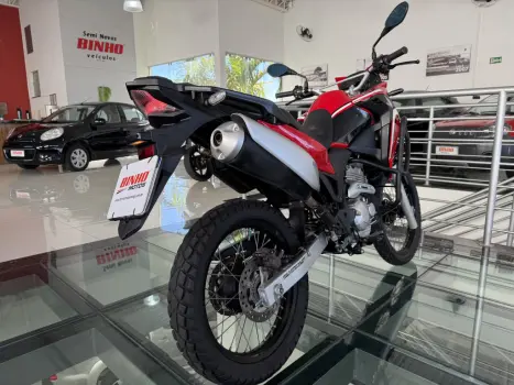 HONDA XRE 300 RALLY ABS, Foto 6