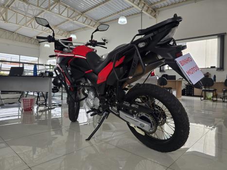 HONDA XRE 300 RALLY ABS, Foto 3