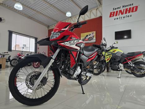 HONDA XRE 300 RALLY ABS, Foto 2