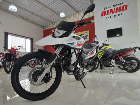 HONDA XRE 300 RALLY ABS, Foto 3