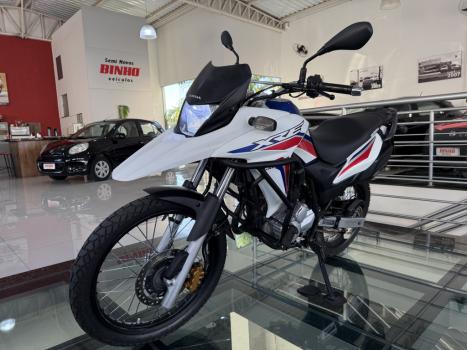 HONDA XRE 300 RALLY ABS, Foto 2