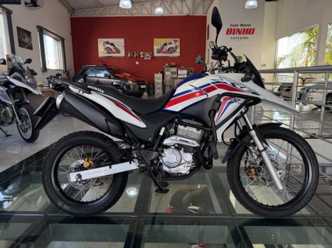 HONDA XRE 300 RALLY ABS, Foto 3