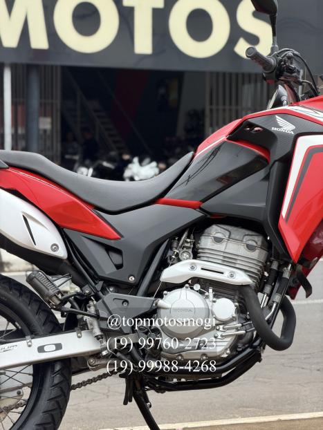 HONDA XRE 300 RALLY ABS, Foto 4