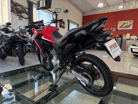 HONDA XRE 300 RALLY ABS, Foto 2
