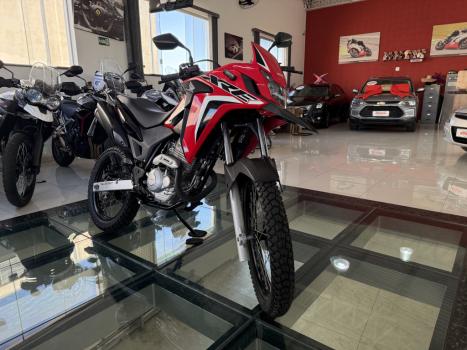 HONDA XRE 300 RALLY ABS, Foto 3