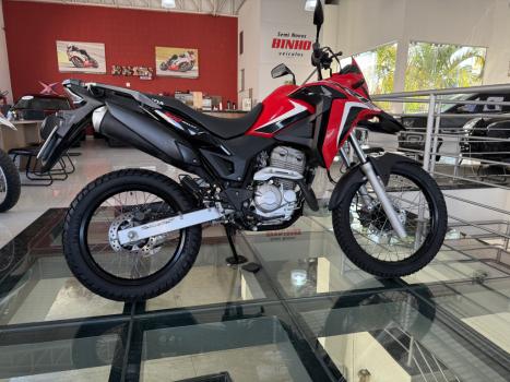 HONDA XRE 300 RALLY ABS, Foto 4