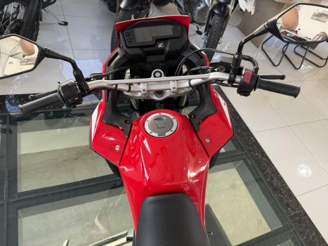HONDA XRE 300 RALLY ABS, Foto 5