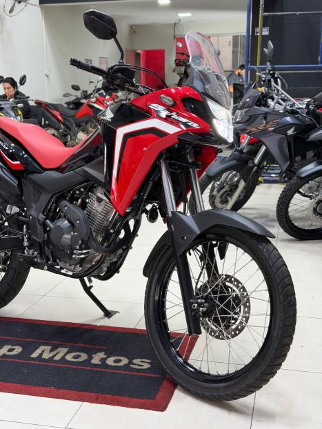 HONDA XRE 300 RALLY ABS, Foto 2