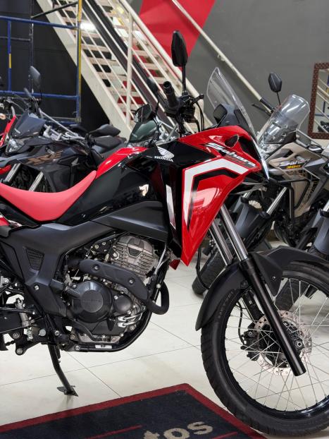 HONDA XRE 300 RALLY ABS, Foto 3