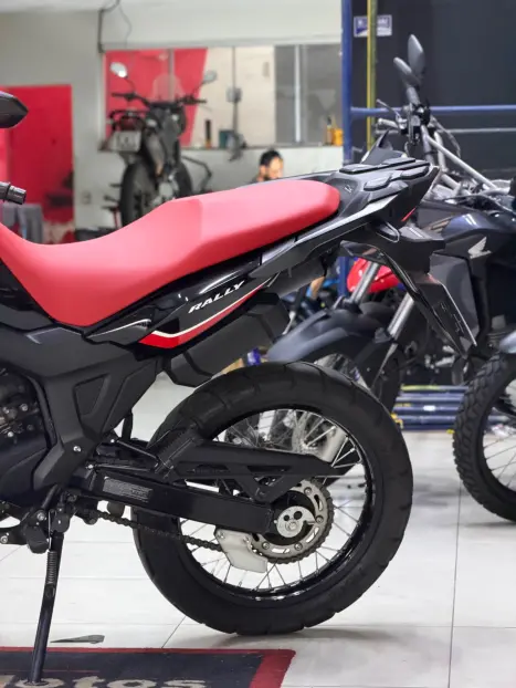 HONDA XRE 300 RALLY ABS, Foto 10