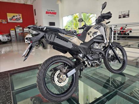 HONDA XRE 300 Sahara ADVENTURE, Foto 2