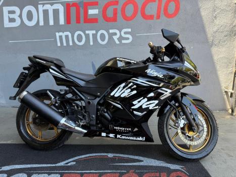 KAWASAKI Ninja 250 R, Foto 4 KAWASAKI Ninja 250 R, Foto 4