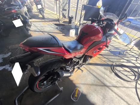 KAWASAKI Ninja 300 , Foto 5