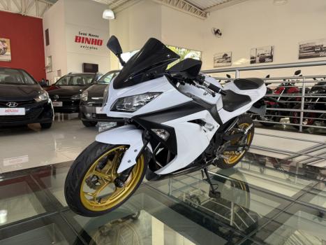 KAWASAKI Ninja 300 , Foto 2