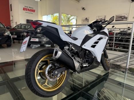 KAWASAKI Ninja 300 , Foto 5
