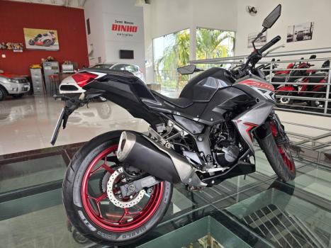 KAWASAKI Z 300 ABS, Foto 2
