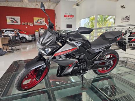 KAWASAKI Z 300 ABS, Foto 3