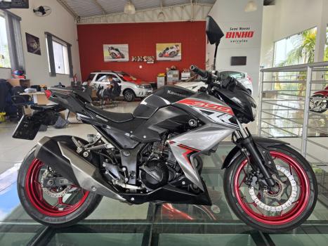 KAWASAKI Z 300 ABS, Foto 6