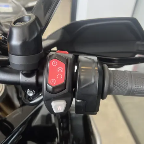 TRIUMPH Tiger 1200 RALLY EXPLORER, Foto 18