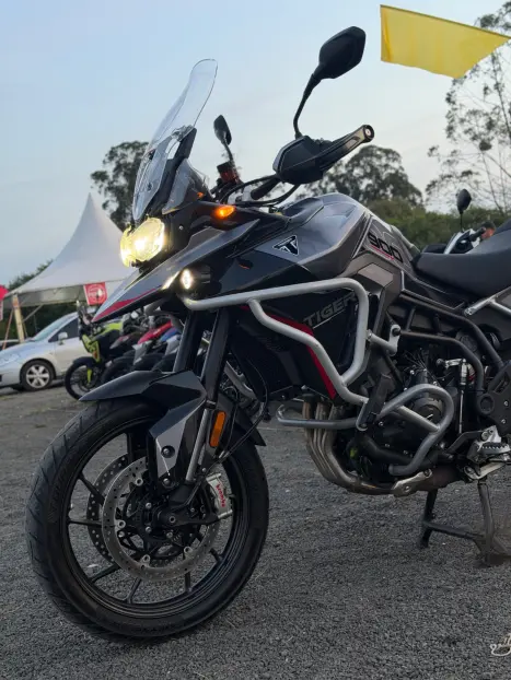 TRIUMPH Tiger 900 GT Pro , Foto 10